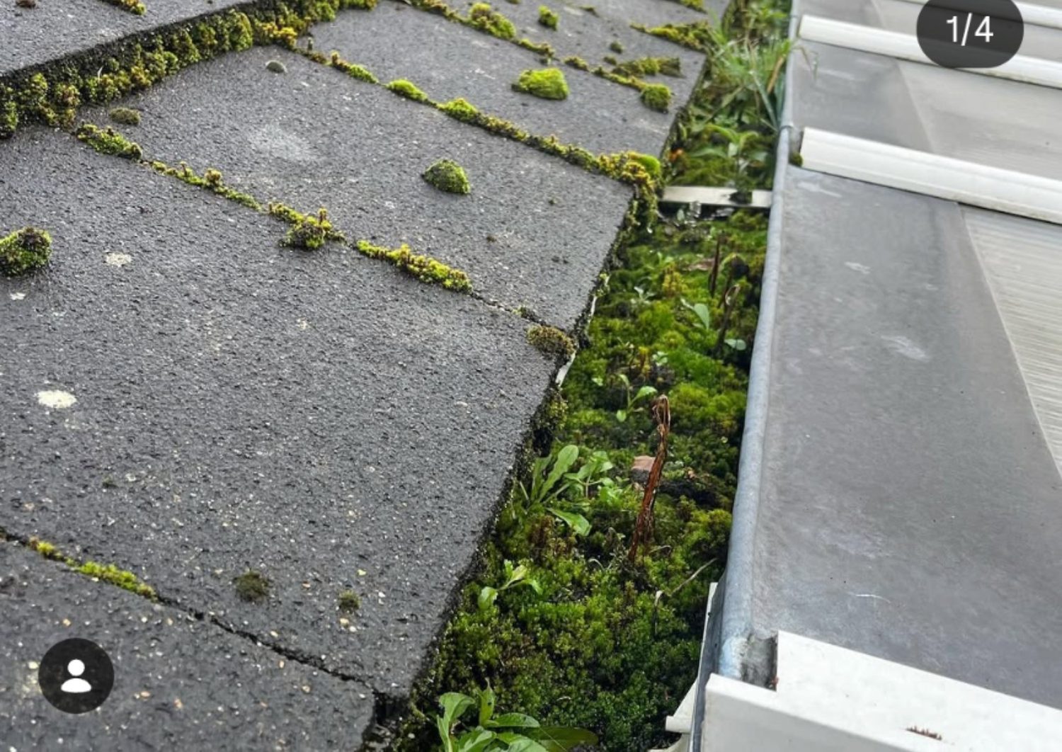 Blocked gutter with moss and weeds before clearing